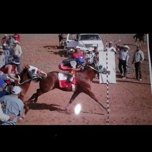 Meet your Posher, Victor armando